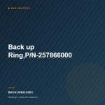 Back up Ring,P/N-257866000