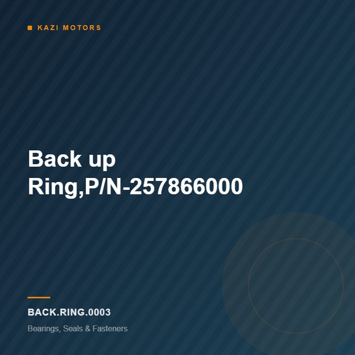 Back up Ring,P/N-257866000