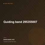 Guiding band  295355007