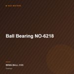 Ball Bearing NO-6218