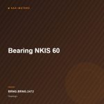 Bearing NKIS 60