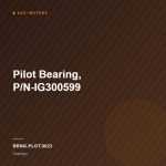 Pilot Bearing, P/N-IG300599