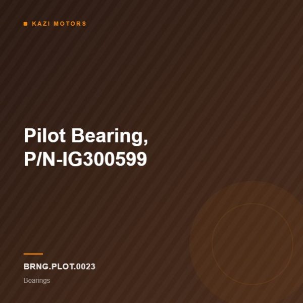 Pilot Bearing, P/N-IG300599