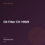 Oil Filter CH-10929
