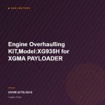 Engine Overhaulling KIT,Model:XG935H for XGMA PAYLOADER