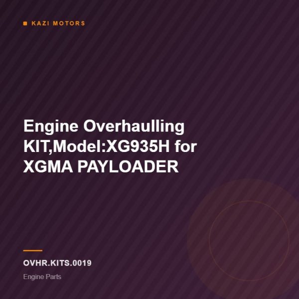 Engine Overhaulling KIT,Model:XG935H for XGMA PAYLOADER