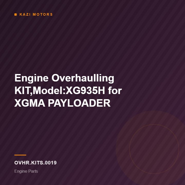 Engine Overhaulling KIT,Model:XG935H for XGMA PAYLOADER