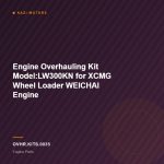 Engine Overhauling Kit Model:LW300KN for XCMG Wheel Loader WEICHAI Engine