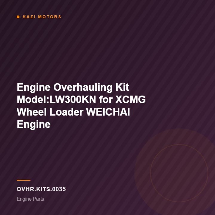 Engine Overhauling Kit Model:LW300KN for XCMG Wheel Loader WEICHAI Engine