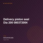 Delivery piston seal Dia 200  080372004