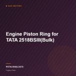 Engine Piston Ring for TATA 2518BSIII(Bulk)