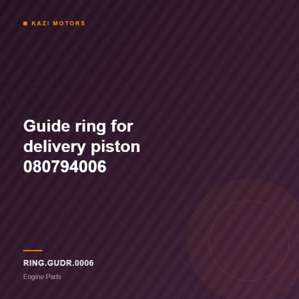 Guide ring for delivery piston  080794006