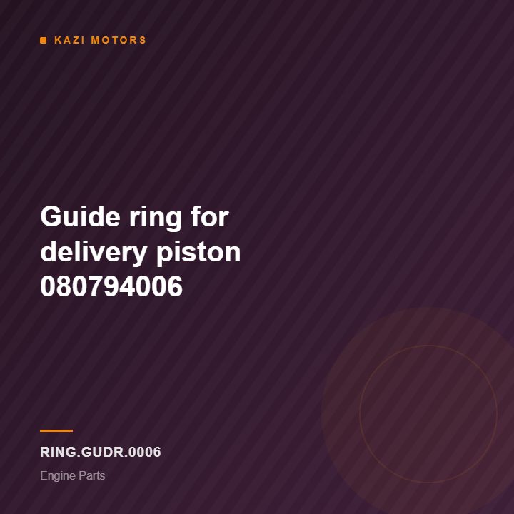 Guide ring for delivery piston  080794006