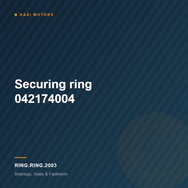 Securing ring  042174004