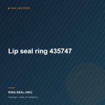 Lip seal ring  435747