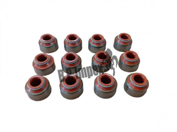 Engine Valve Oil Seal[24PC=1Set]for TATA 2518BSIII(Bulk)